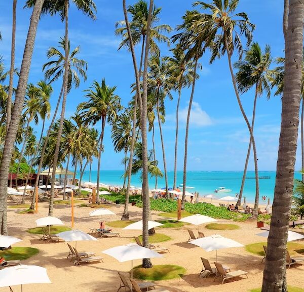 Maragogi: El Caribe Brasileño con Vuelo Directo (8 Días / 7 Noches)