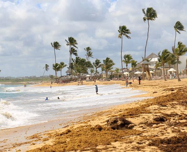 Punta Cana: Uvero Alto (8 Días / 7 Noches - Vía LATAM)